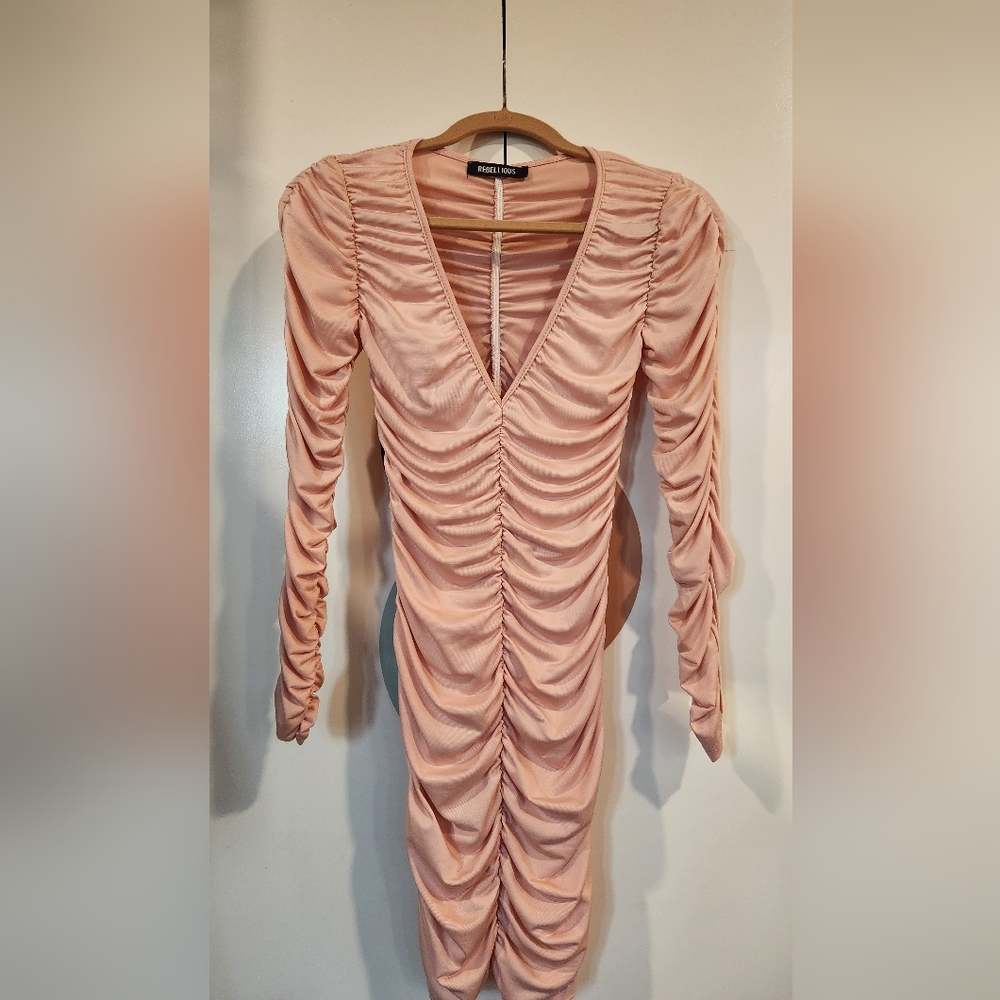 Blush Long Sleeve Ruched Dress